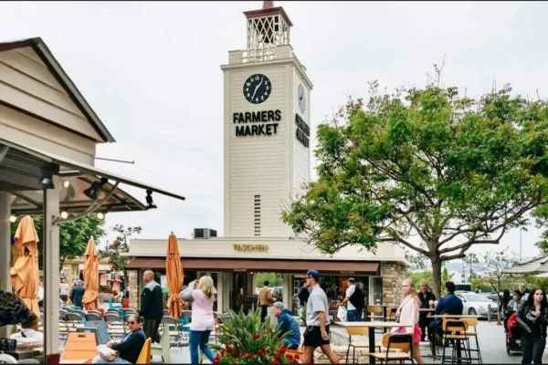 Half-Day Sightseeing Tour of the Best of Los Angeles