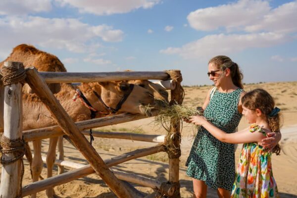 Dubai: Desert Safari, Quad Bike, Camel Ride & Al Khayma Camp