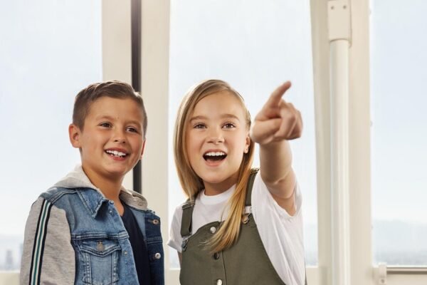 High Roller Wheel Admission Ticket at The LINQ