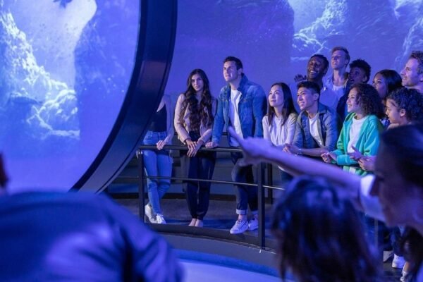 Flyover in Las Vegas: An Immersive Flying Ride Experience