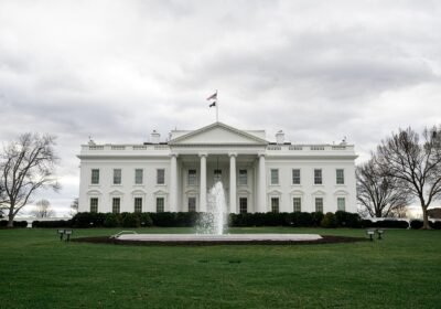 Washington D.C. Tour from New York Spanish/English