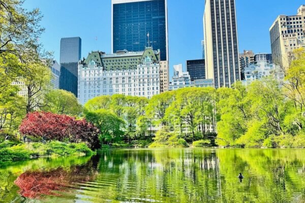 Central Park Pedicab Guided Tours